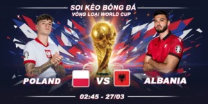 Soi kèo Poland vs Albania 2h45 27/3 - Vòng loại World Cup 2026